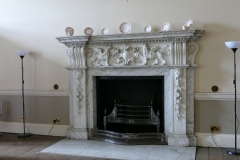 The Ante Drawing Room Fireplace.