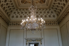 The Van Dyke Room Chandelier